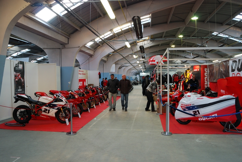 Puce_Niort_2009_003 [800x600].jpg